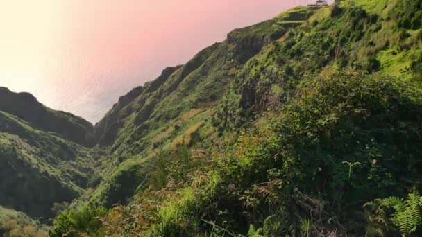 Paisagem Madeira Colinas Verdes Belas Florestas Luz Solar Quente — Vídeo de Stock