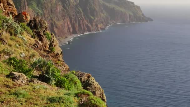 マデイラアカダス クルス付近の崖 — ストック動画