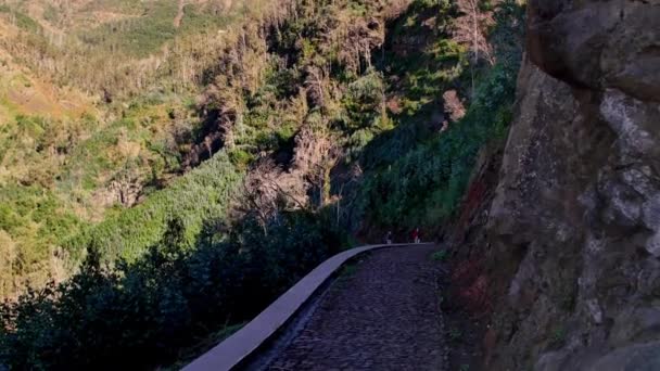 Paisaje Madeira Colinas Verdes Hermosos Bosques Cálida Luz Del Sol — Vídeo de stock