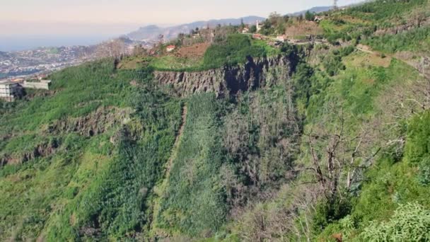 Landschap Van Madeira Groene Heuvels Prachtige Bossen Warm Zonlicht — Stockvideo