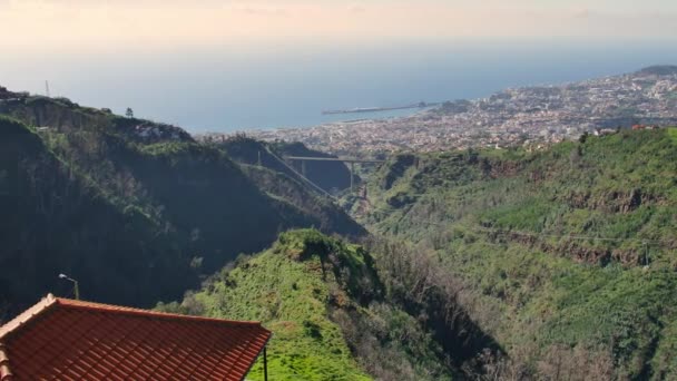 Madeira Nın Manzarası Yeşil Tepeler Ilık Güneş Işığında Güzel Ağaçlar — Stok video