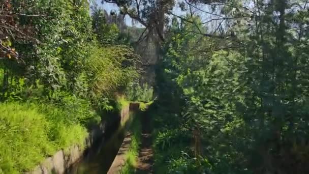 马德拉上的莱瓦达 春岛上的旅游路径 — 图库视频影像