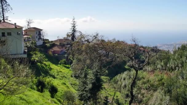 Landscape Madeira Green Hills Beautiful Woods Warm Sunlight — Stock Video