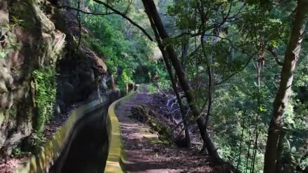 Levada Auf Madeira Touristenpfad Auf Der Frühlingsinsel — Stockvideo