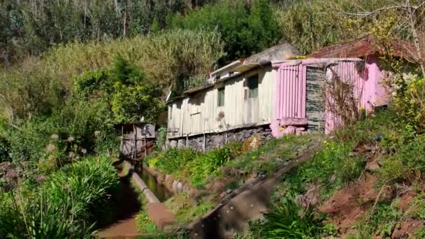 Levada Maderze Szlak Turystyczny Wyspie Wiosna — Wideo stockowe