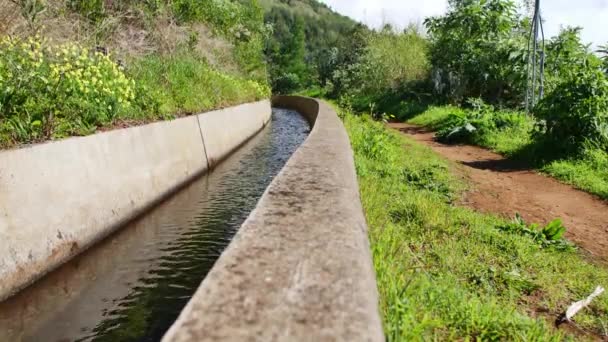 Levada Madeira Toeristisch Pad Het Lente Eiland — Stockvideo