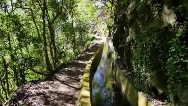 Levada Madeira Jalur Turis Pulau Spring — Stok Video