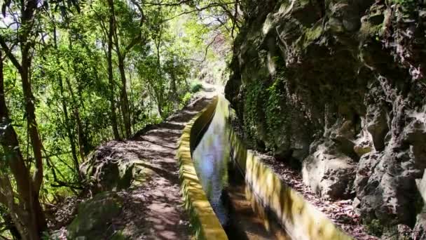 Levada Madeira Caminho Turístico Ilha Primavera — Vídeo de Stock