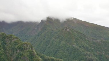 Levada dos Balces. Madeira güzel yeşil tepeler.