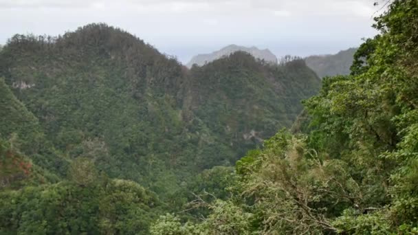 Levada Dos Balces Hermosas Colinas Verdes Madeira — Vídeo de stock