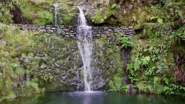 Vereda Dos Balces Beau Sentier Plein Petites Cascades Paysages — Video