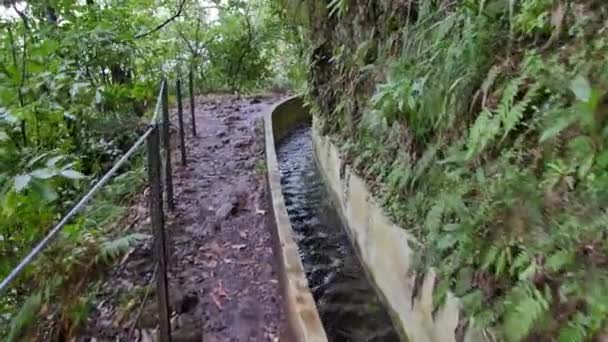 Levada Madeiře Turistická Cesta Ostrov Jaře — Stock video