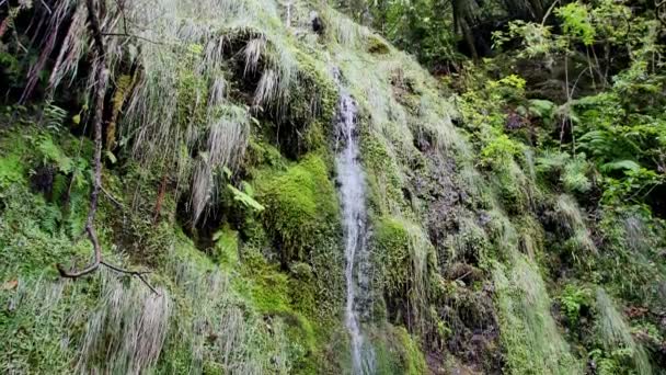 Vereda Dos Balces Beau Sentier Plein Petites Cascades Paysages — Video