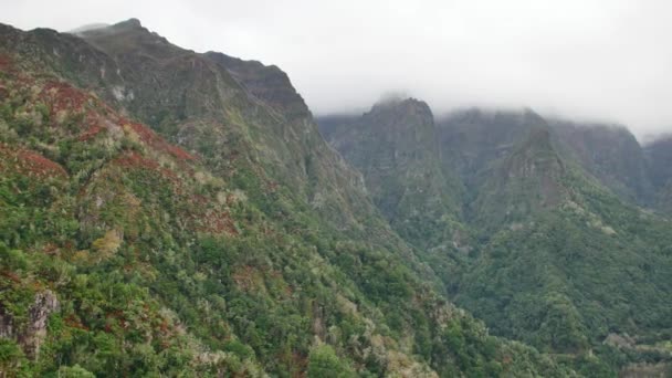 Levada Dos Balces Hermosas Colinas Verdes Madeira — Vídeo de stock