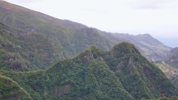 Levada Dos Balances Schöne Grüne Hügel Auf Madeira — Stockvideo