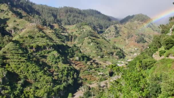 Paisaje Madeira Colinas Verdes Hermosos Bosques Cálida Luz Del Sol — Vídeo de stock