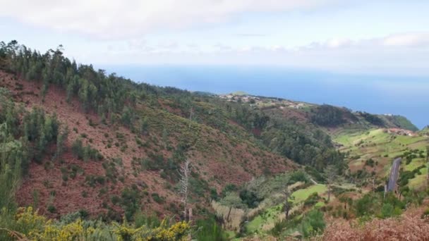 Madeira Tájképe Zöld Dombok Gyönyörű Erdők Meleg Napfényben — Stock videók