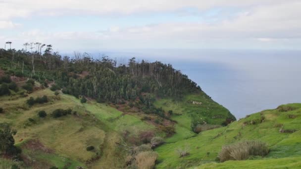 Landskap Madeira Gröna Kullar Vackra Skogar Varmt Solljus — Stockvideo