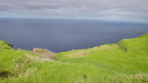 View Point Lombada Velha Madeira Beautiful Trail Huge Cliff Atlantic — Stock Video