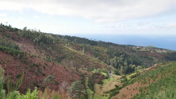 Paisaje Madeira Colinas Verdes Hermosos Bosques Cálida Luz Del Sol — Vídeos de Stock