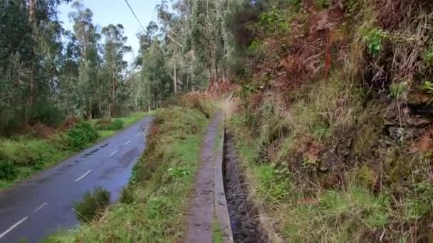 Levada Maderze Szlak Turystyczny Wyspie Wiosna — Wideo stockowe