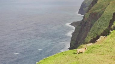 Lombada Velha, Madeira 'da görünüm noktası. Atlantik Okyanusu yakınında güzel iz ve büyük uçurum.