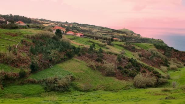 Paisagem Madeira Colinas Verdes Belas Florestas Luz Solar Quente — Vídeo de Stock