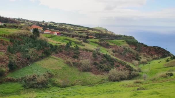 Landschaft Von Madeira Grüne Hügel Schöne Wälder Warmen Sonnenlicht — Stockvideo