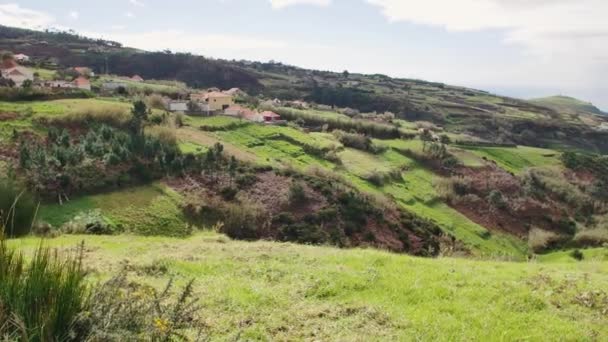 Landschaft Von Madeira Grüne Hügel Schöne Wälder Warmen Sonnenlicht — Stockvideo