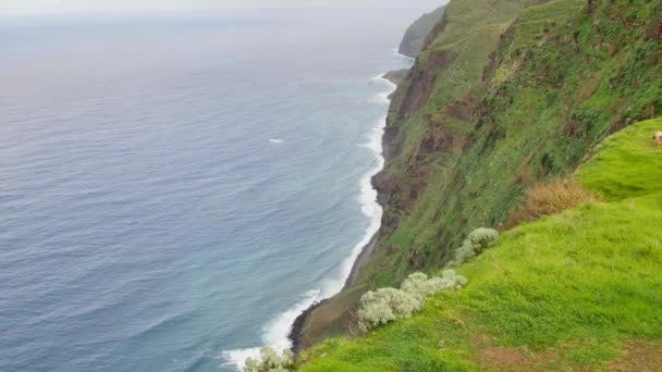 Punto Vista Lombada Velha Madeira Hermoso Sendero Enorme Acantilado Cerca — Vídeo de stock