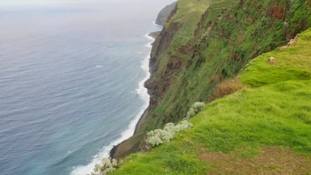 Tekintse Meg Pont Lombada Velha Madeira Gyönyörű Ösvény Hatalmas Szikla — Stock videók