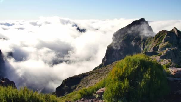 Вереда Ареейро Мадейра Вид Красивые Горы Над Облаками — стоковое видео