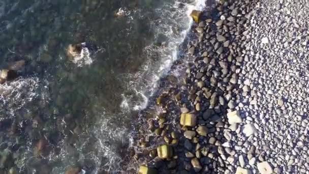 Linha Costeira Vista Cima Madeira — Vídeo de Stock