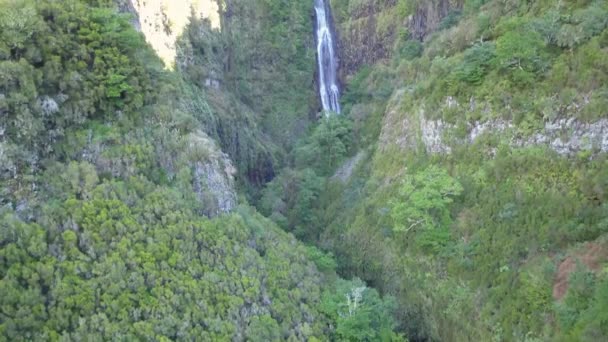 Risco Şelale Madeira Adası — Stok video