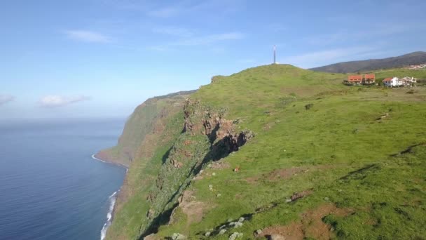 Kliffen Bij Achadas Cruz Madeira — Stockvideo