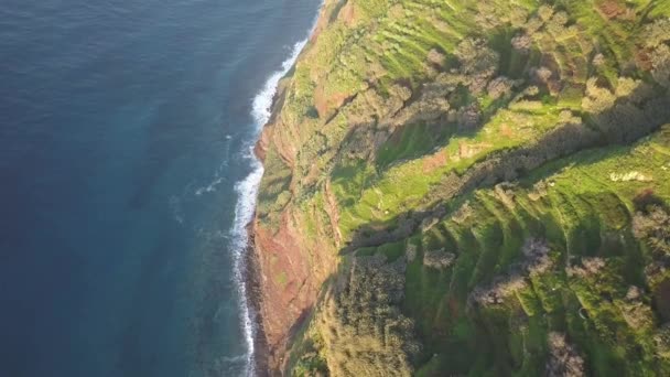 Farol Ponta Pargo Visto Cima Madeira — Vídeo de Stock