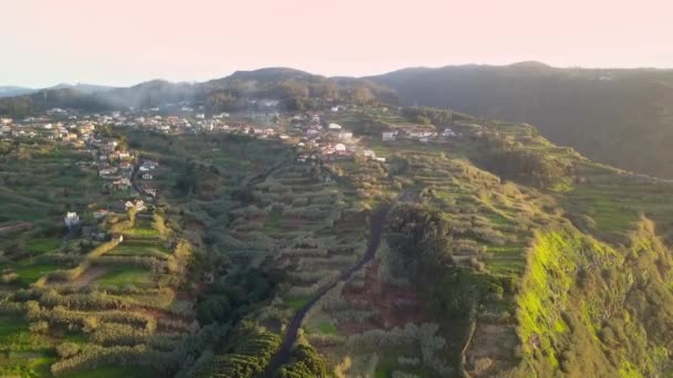 Cliffs Achadas Cruz Madeira — Stock video