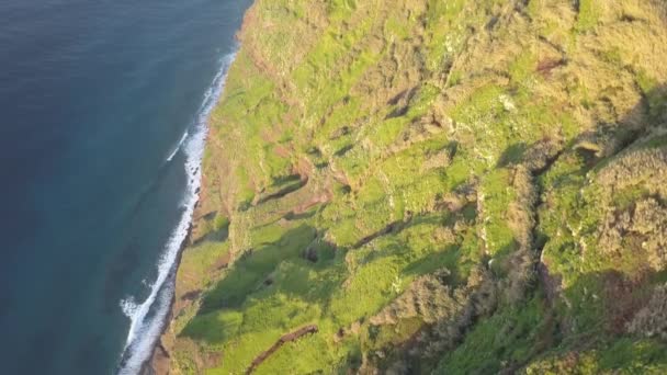 Cliffs Achadas Cruz Madeira — Stock video