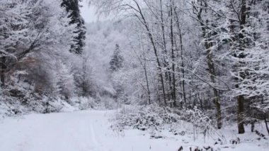 White water river in winter. World covered in snow.
