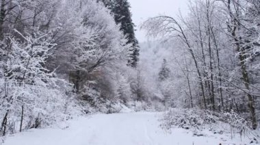 Hills karla kaplı. Güneşli, soğuk gün Sudety dağlarında.