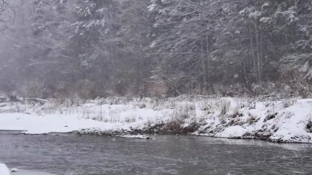 Witte Rivier Winter Wereld Bedekt Met Sneeuw — Stockvideo