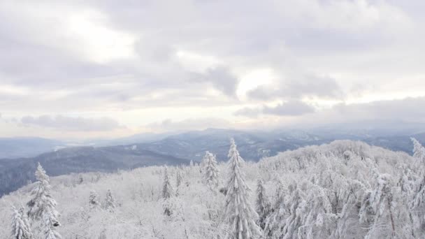 积雪覆盖的丘陵 寒冷的天在 Sudety — 图库视频影像