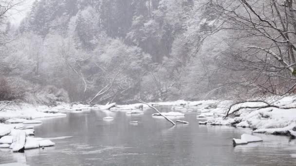 Río Agua Blanca Invierno Mundo Cubierto Nieve — Vídeo de stock