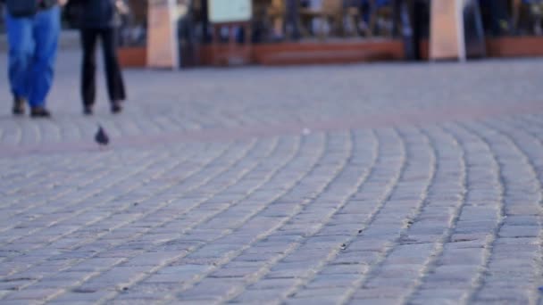 Menschen Auf Den Straßen Der Warschauer Altstadt Menschen Nicht Wiederzuerkennen — Stockvideo