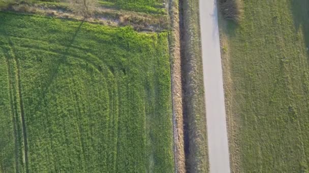 Campos Verdes Vistos Cima Estrada Rural Luz Quente — Vídeo de Stock