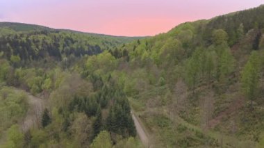 Yeşil tepeler ve vadiler güzel hava atış. Bieszczady Dağlar yukarıda da görüleceği doğası.