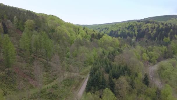 Piękne Zdjęcia Lotnicze Zielonymi Wzgórzami Dolinami Charakter Bieszczadów Góry — Wideo stockowe