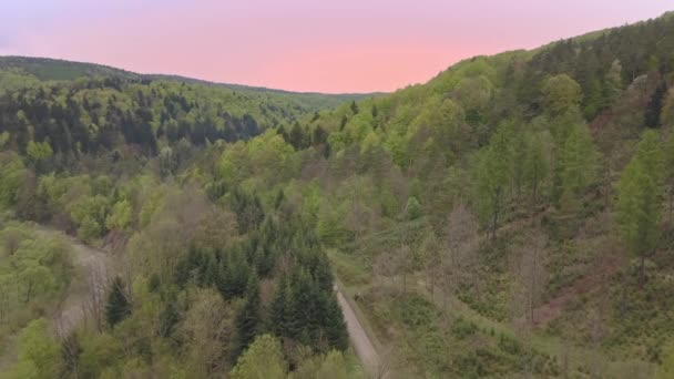 美丽的空中拍摄的绿色丘陵和山谷 从上面看到的 Bieszczady 山脉的性质 — 图库视频影像