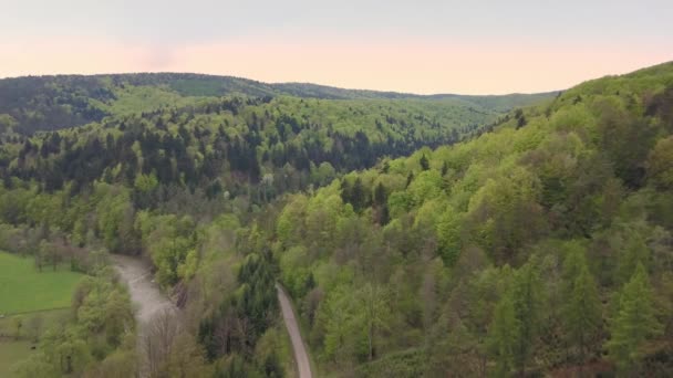 Hermosa Toma Aérea Verdes Colinas Valles Naturaleza Las Montañas Bieszczady — Vídeos de Stock