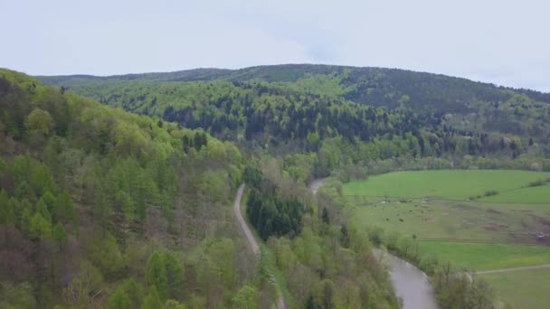 Снимок Зеленых Холмов Долин Воздуха Природа Бещадских Гор Видна Сверху — стоковое видео
